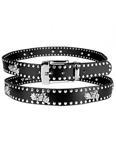 Belt Silver Accents