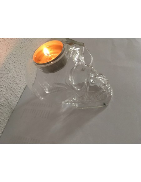 Glasschädel / Glas Skull
